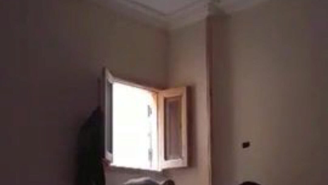 Egyptian Sharmota part 1 Egyptian Sharmota